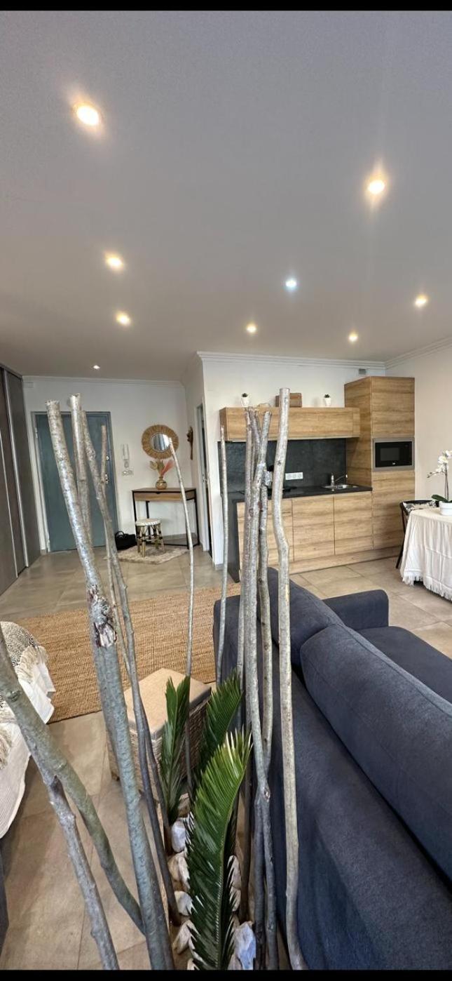 Grand Studio Cosy Cannes Centre Exterior foto